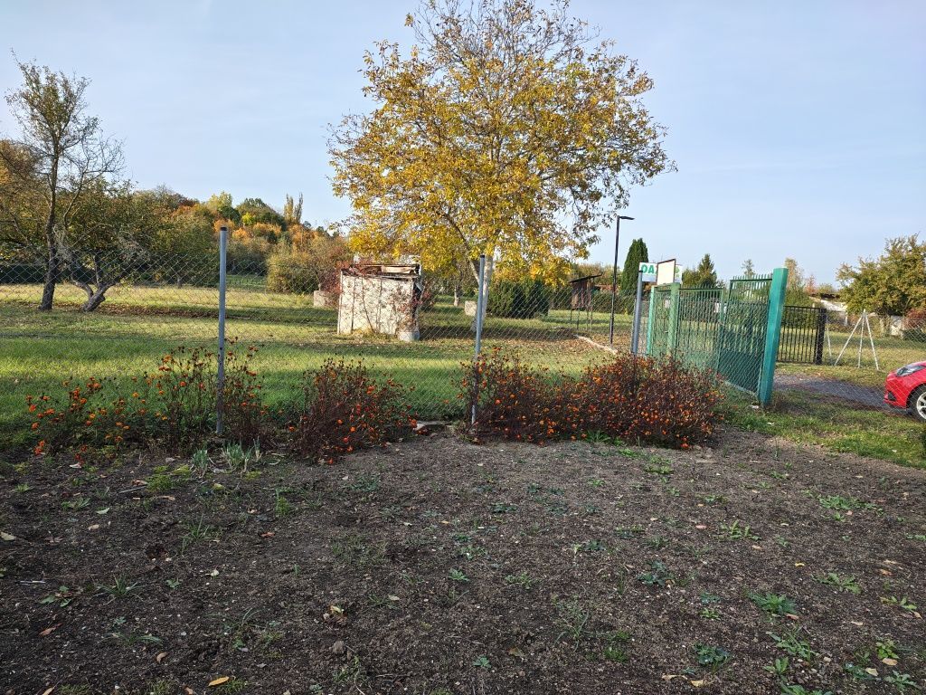 Działka rod Żary, ul. Pszenna. Zdjęcie 6