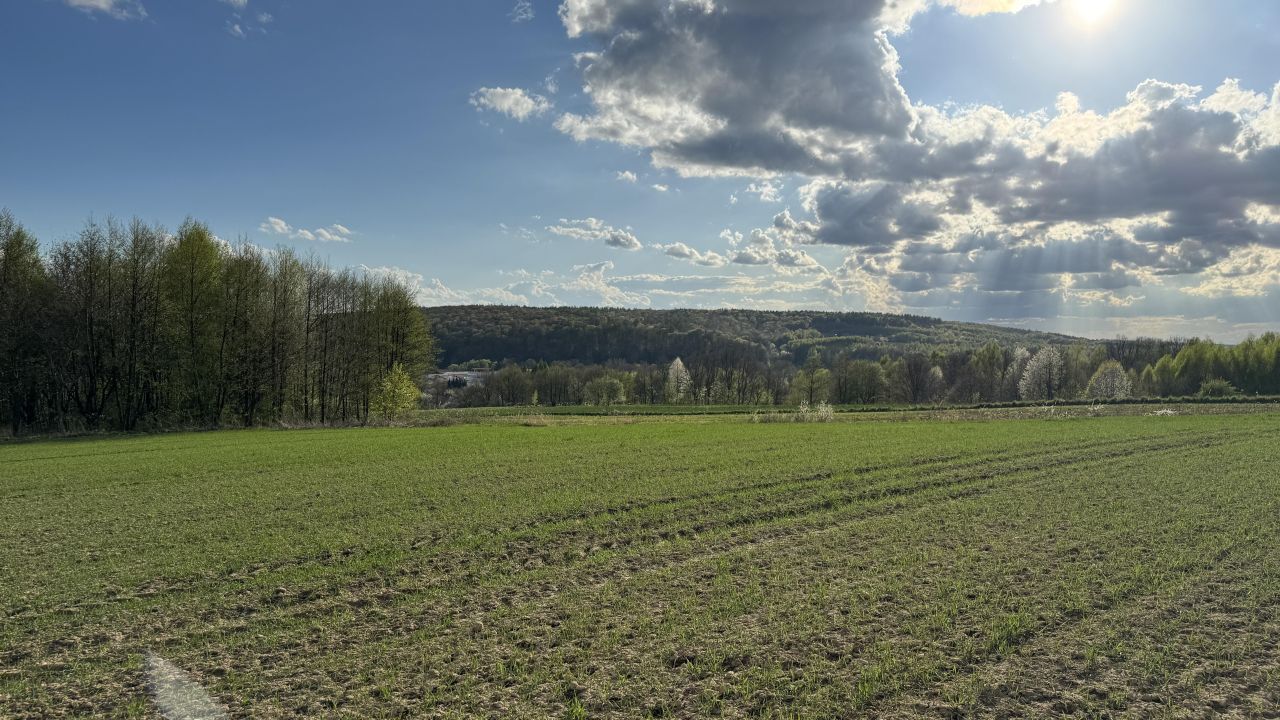 Działka budowlana Jedlicze Męcinka, ul. Partyzantów. Zdjęcie 7