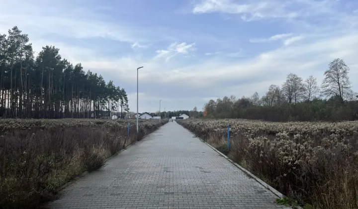 Działka budowlana Zarośle Cienkie, ul. Zielona Dolina