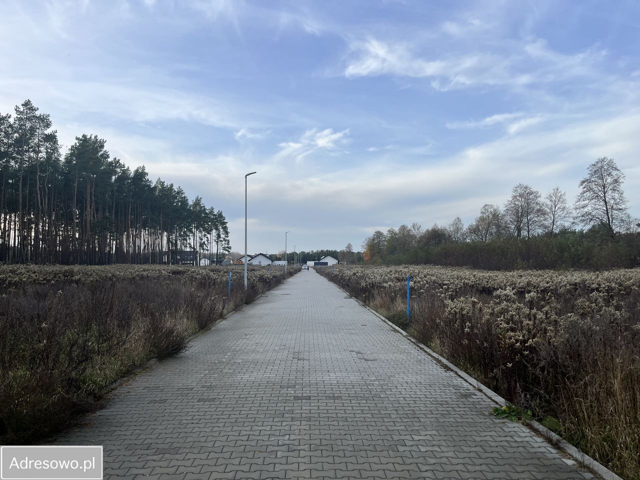 Działka budowlana Zarośle Cienkie, ul. Zielona Dolina