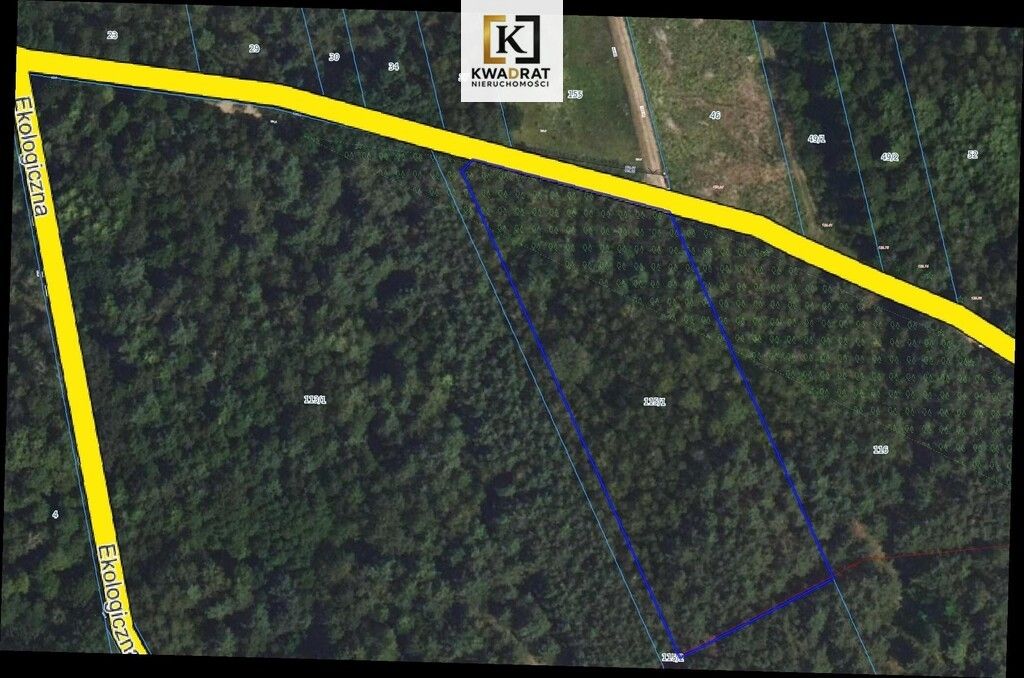 Działka Cezarów. Zdjęcie 1