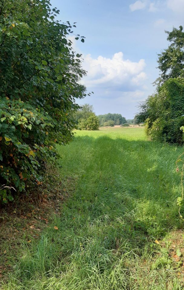 Działka siedliskowa Topolany. Zdjęcie 8