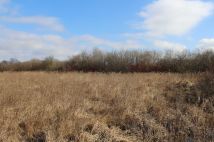 Działka rolna Kwik. Zdjęcie 1