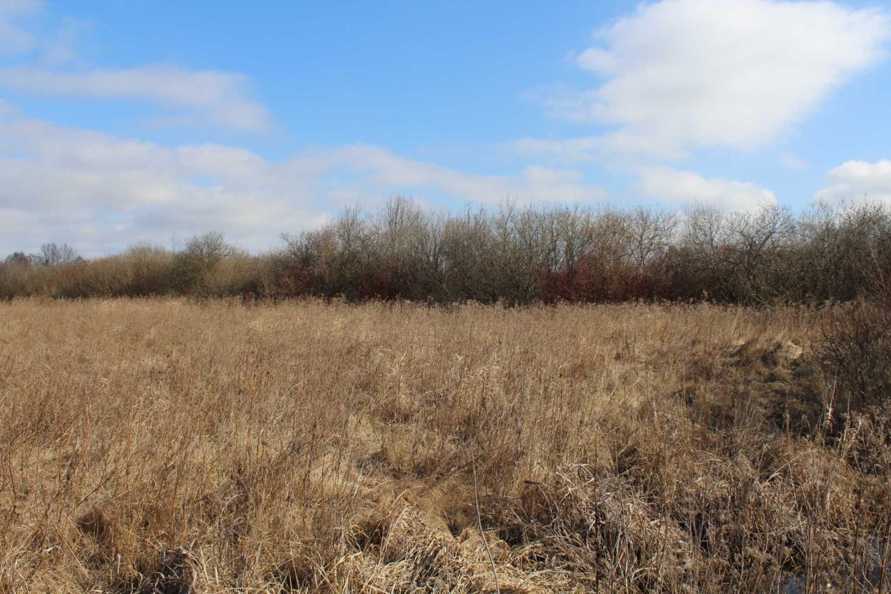 Działka rolna Kwik. Zdjęcie 2