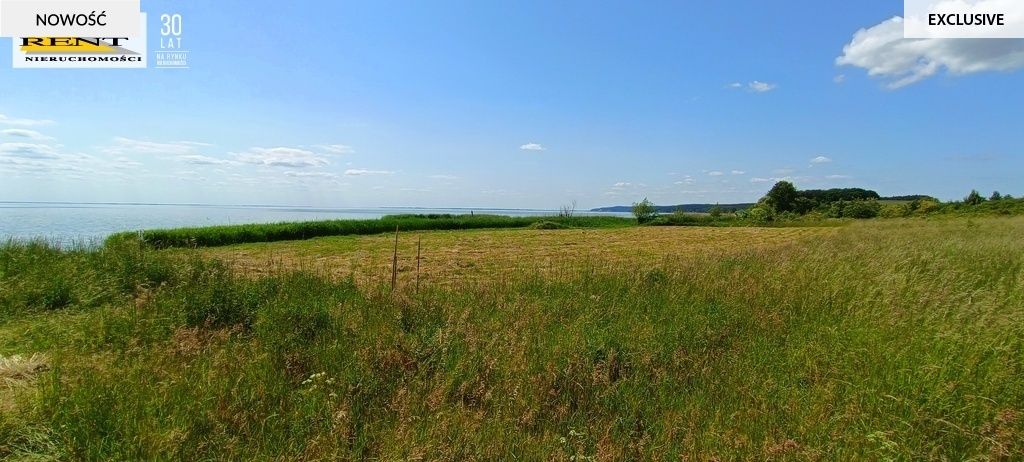 Działka rekreacyjna Płocin. Zdjęcie 9