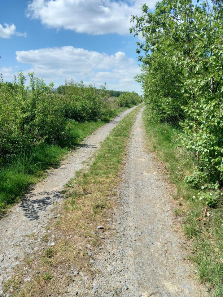 Działka rolno-budowlana Grudza. Zdjęcie 6