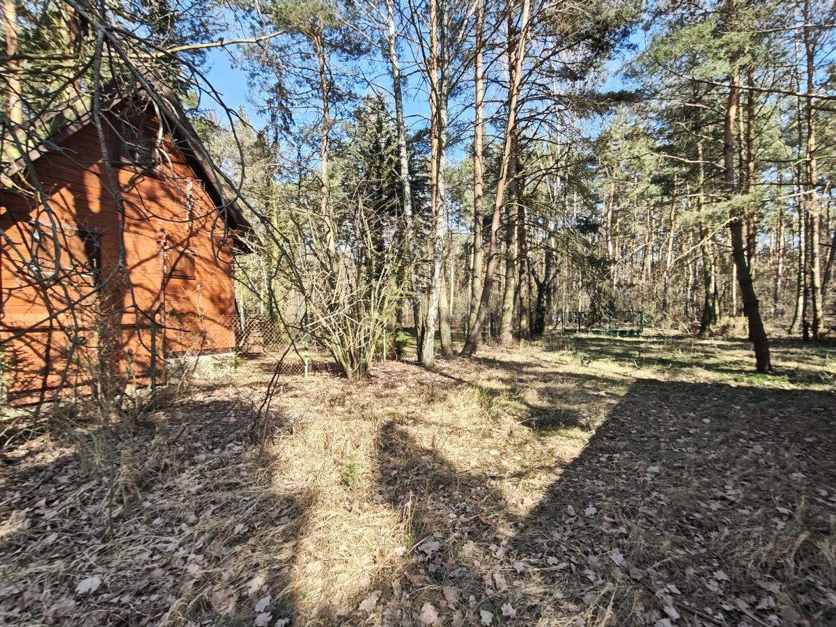 Działka budowlana Nowe Załubice, ul. Szumiących Traw. Zdjęcie 6