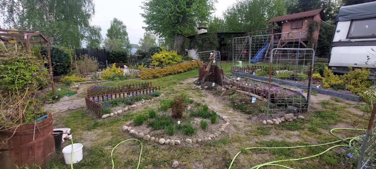 Działka rod Klikawa, ul. Ogrodowa. Zdjęcie 3