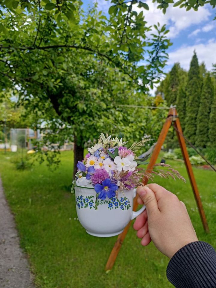 Działka rod Poznań Winogrady. Zdjęcie 8