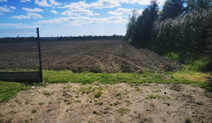 Działka budowlana Kryniczno, ul. Polna