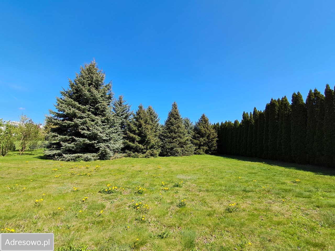 Działka budowlana Bogucin. Zdjęcie 4