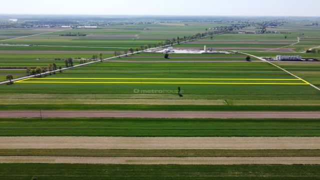 Działka inwestycyjna Rybno. Zdjęcie 3