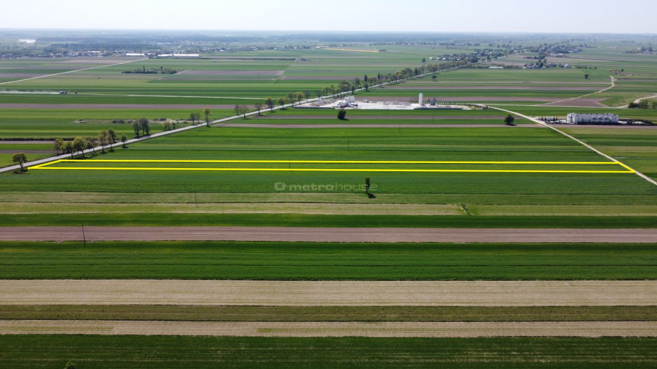 Działka inwestycyjna Rybno. Zdjęcie 3