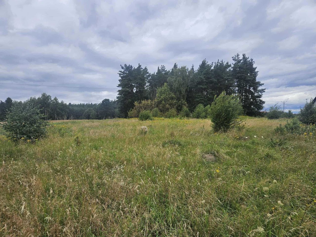 Działka rolna Kleszczewo Kościerskie. Zdjęcie 3