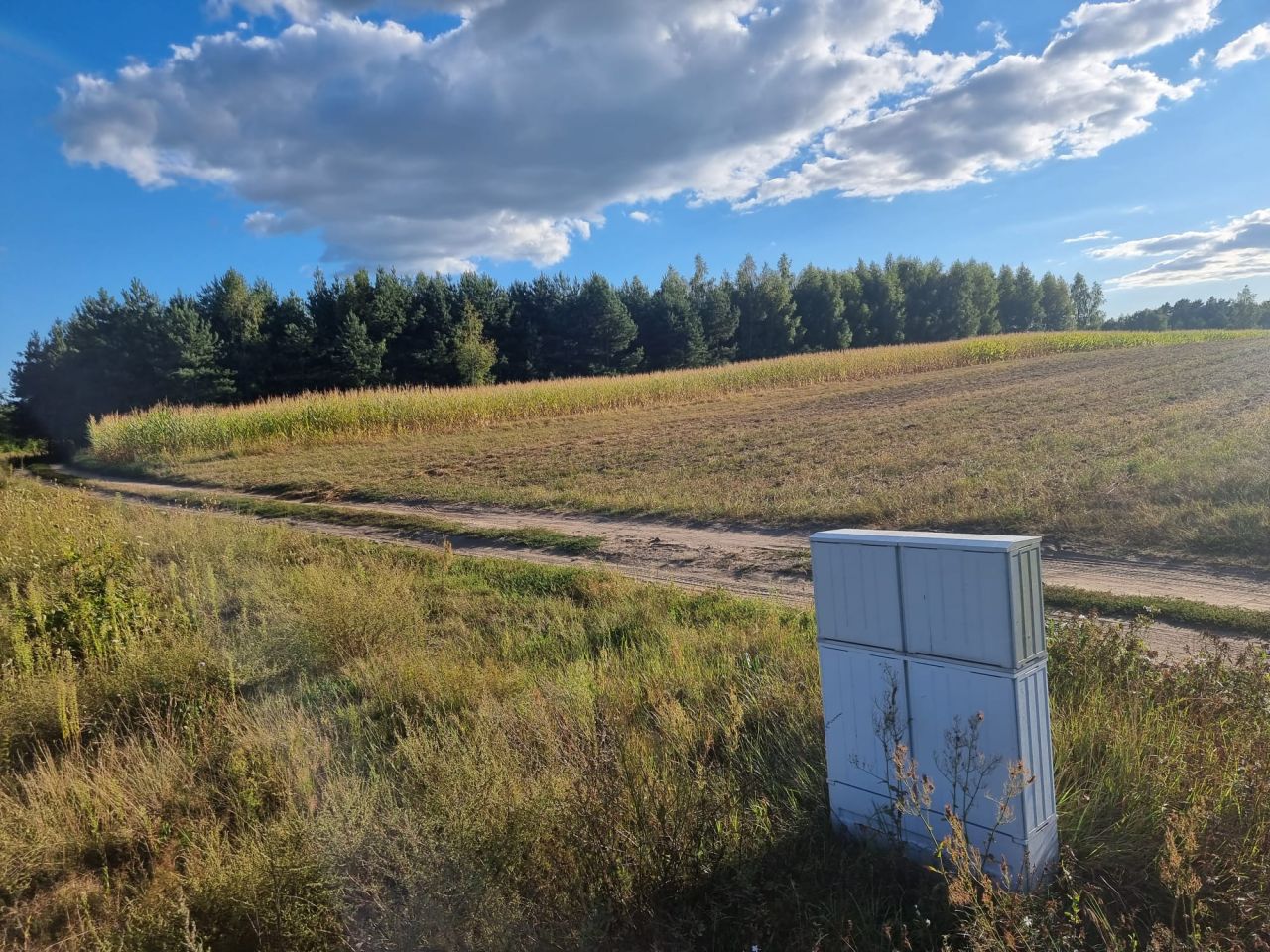 Działka budowlana Trypucie. Zdjęcie 9