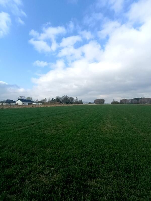 Działka budowlana Świerzowa Polska. Zdjęcie 16