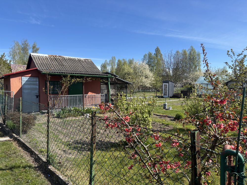 Działka rod Ostrowiec Świętokrzyski, ul. Marii Dąbrowskiej. Zdjęcie 6