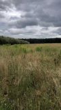 Działka rolna Piotrków Trybunalski Meszcze, ul. Wolborska. Zdjęcie 1