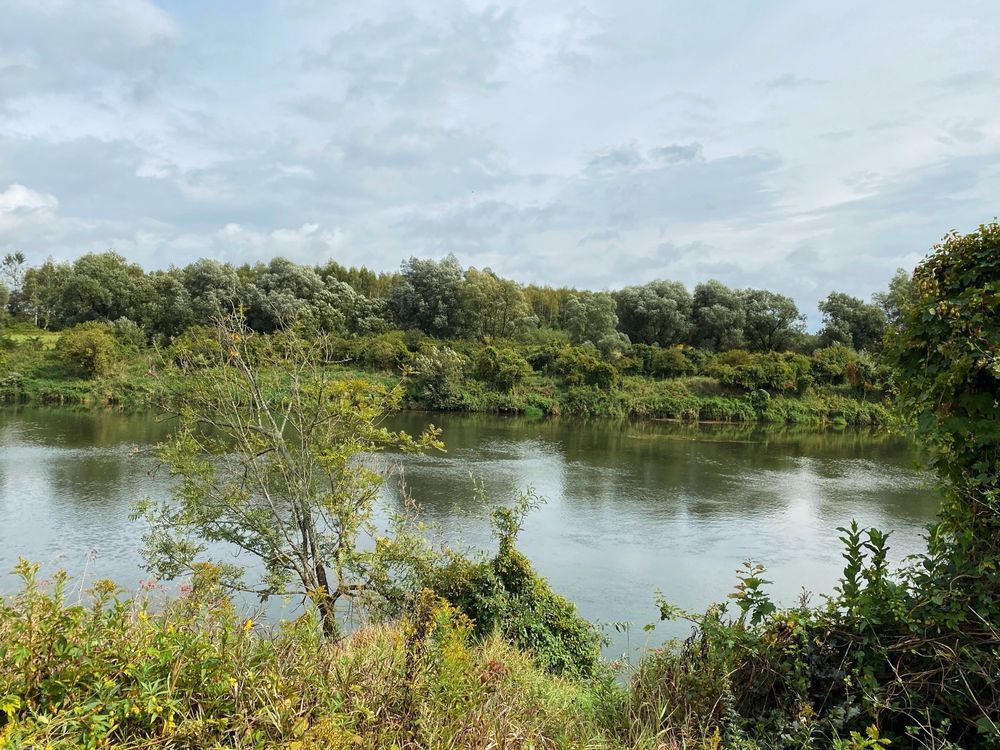 Działka rekreacyjna Mielnów. Zdjęcie 6