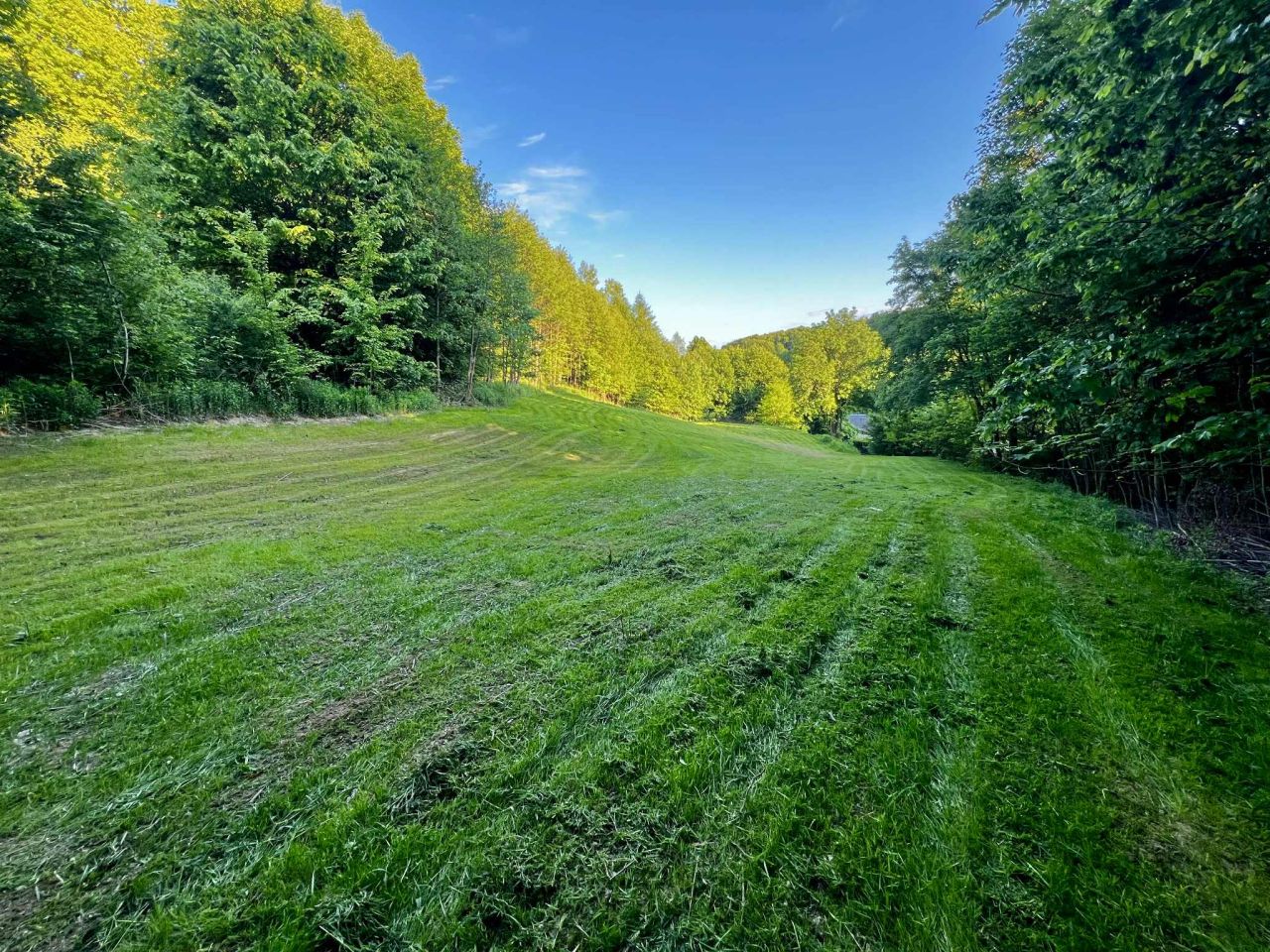 Działka rolno-budowlana Pstrągowa. Zdjęcie 2