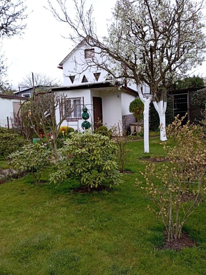 Działka rod Jastrzębie-Zdrój. Zdjęcie 1