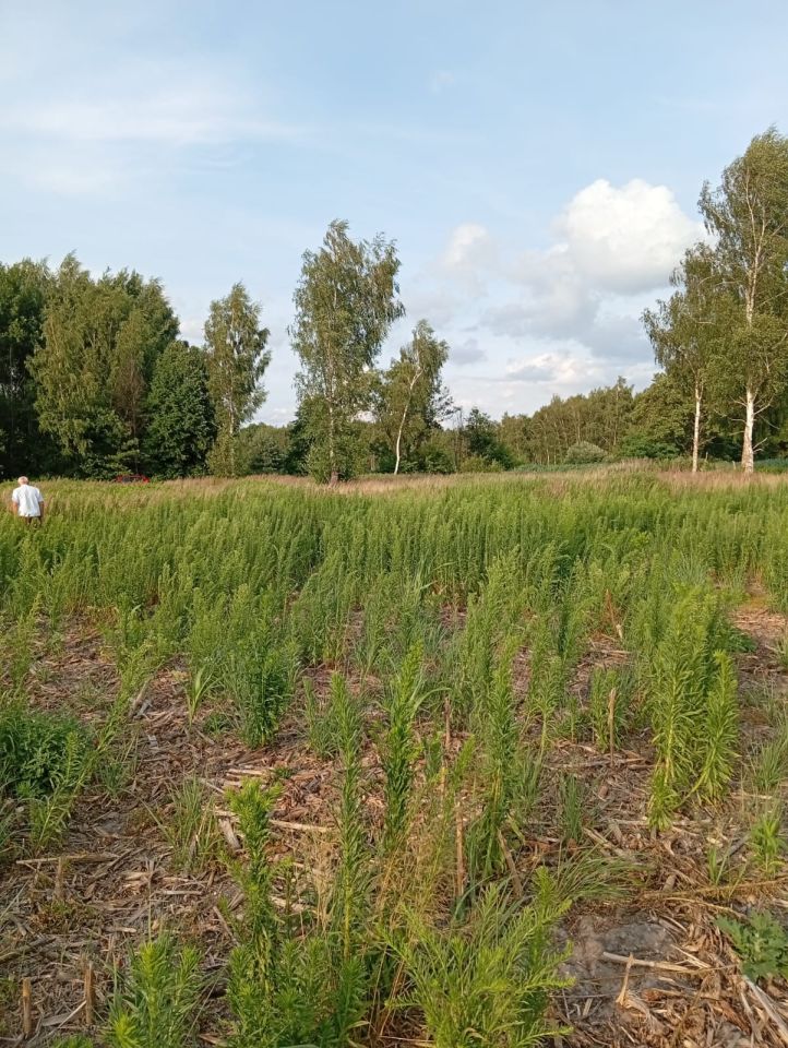 Działka budowlana Jelcz-Laskowice, ul. Lipowa. Zdjęcie 2