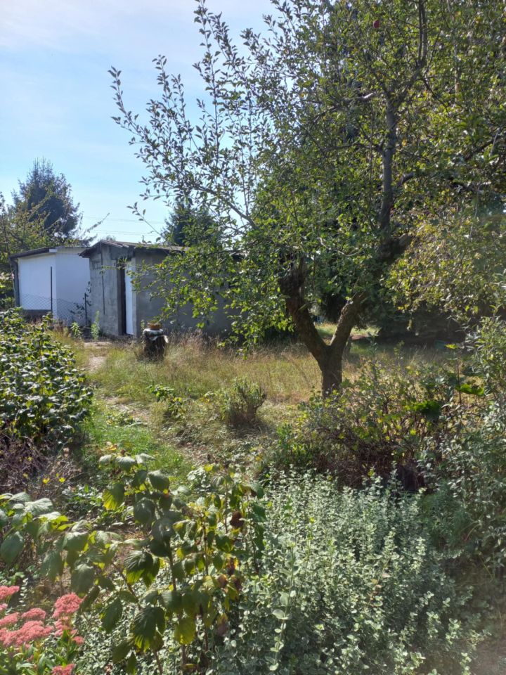 Działka rekreacyjna Łódź Stoki, ul. Telefoniczna