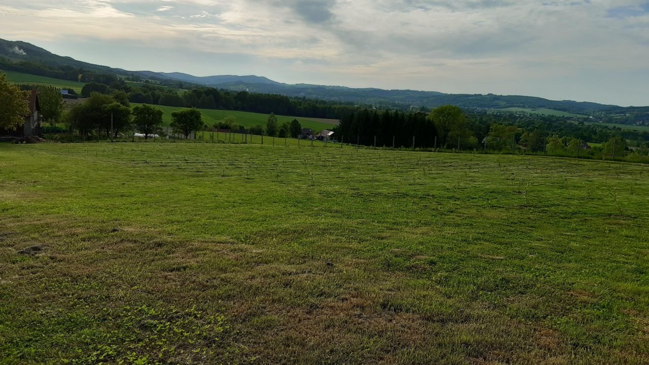 gospodarstwo, 5 pokoi Markuszowa. Zdjęcie 11