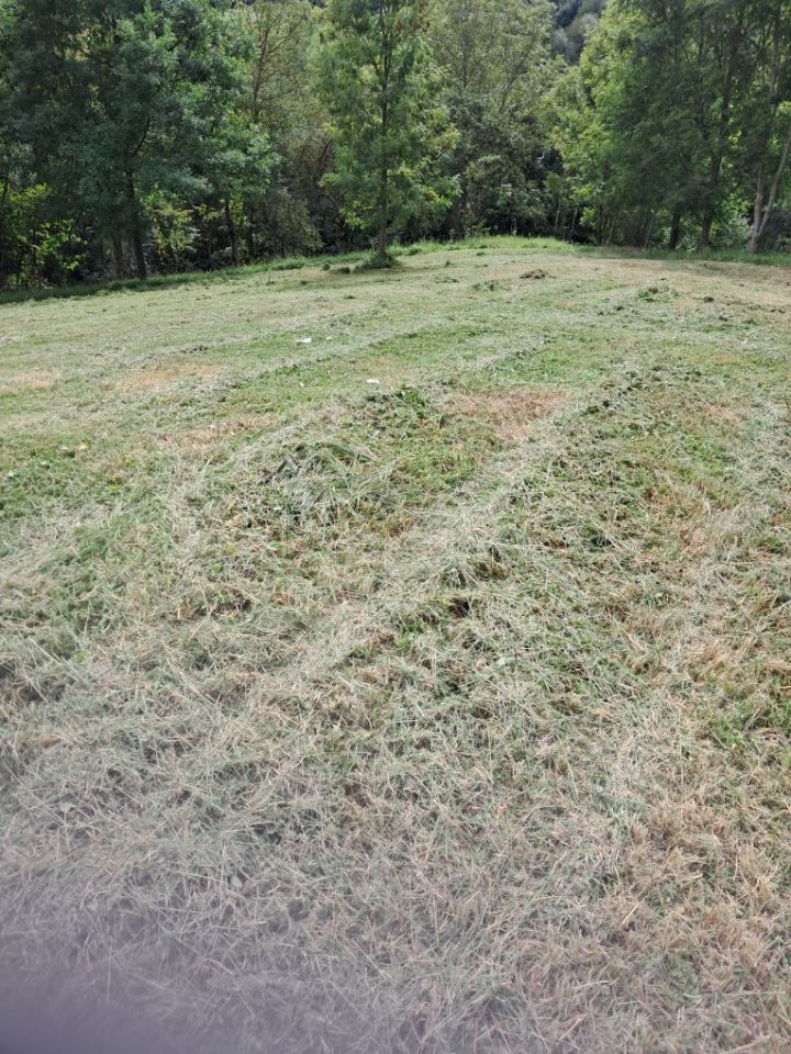 Działka rolno-budowlana Nowa Wieś. Zdjęcie 4