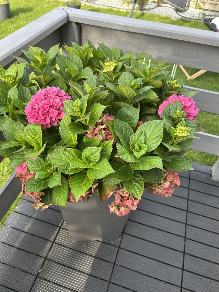 dom letniskowy, 3 pokoje Boszkowo-Letnisko, ul. Piaskowa. Zdjęcie 11