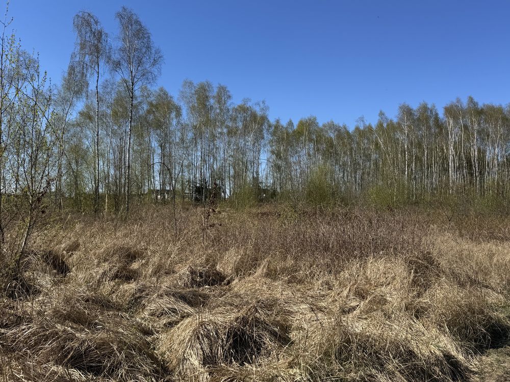 Działka budowlana Grabowo Kolonia Dolna-Grabowo. Zdjęcie 4