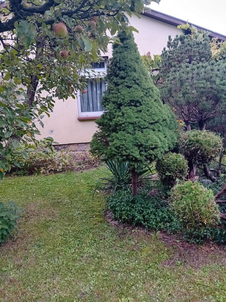 Działka rod Poznań Krzesiny, ul. Jarosławska. Zdjęcie 3