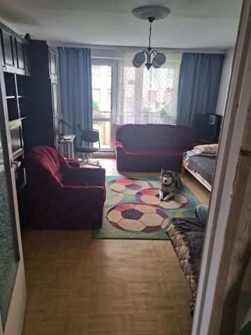 Mieszkanie 3-pokojowe Śrem. Zdjęcie 1