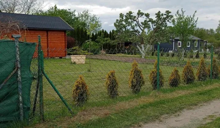 Działka rekreacyjna Wrzosowo