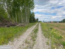 Działka budowlana Młyniec Drugi. Zdjęcie 4