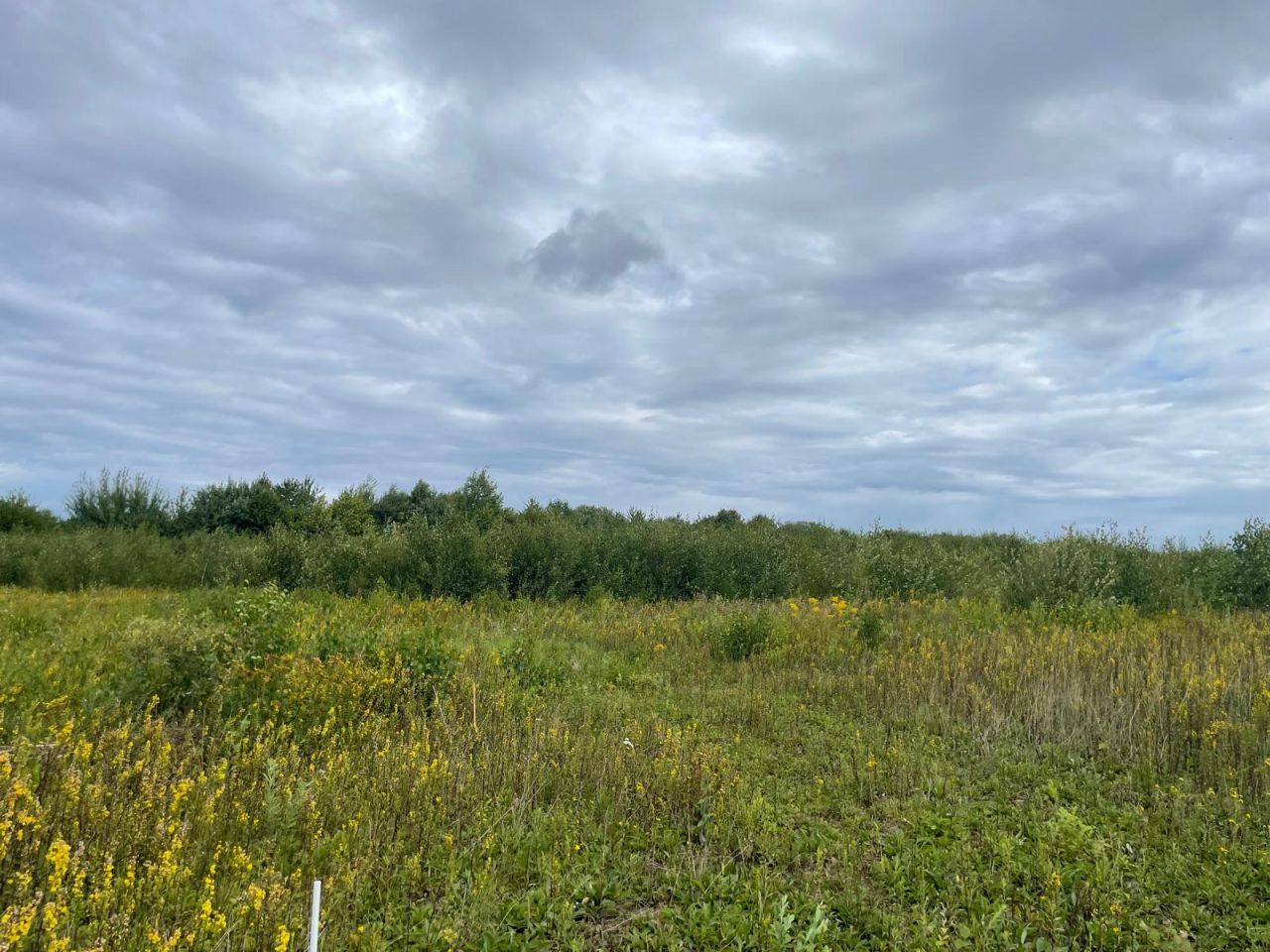 Działka budowlana Połchowo, ul. Polna. Zdjęcie 4