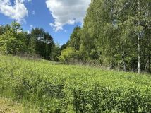 Działka rolna Klęczany. Zdjęcie 3