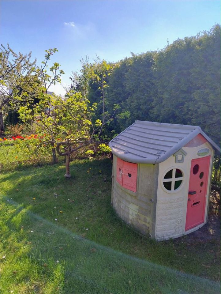 Działka rod Starachowice, ul. Martenowska. Zdjęcie 5