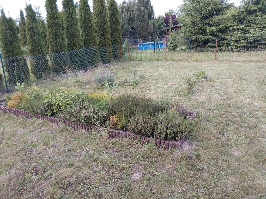 Działka inwestycyjna Świdnik Duży Świdnik Duży Pierwszy. Zdjęcie 5