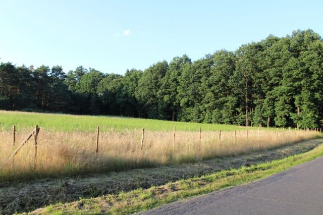 Działka budowlana Wioska. Zdjęcie 1