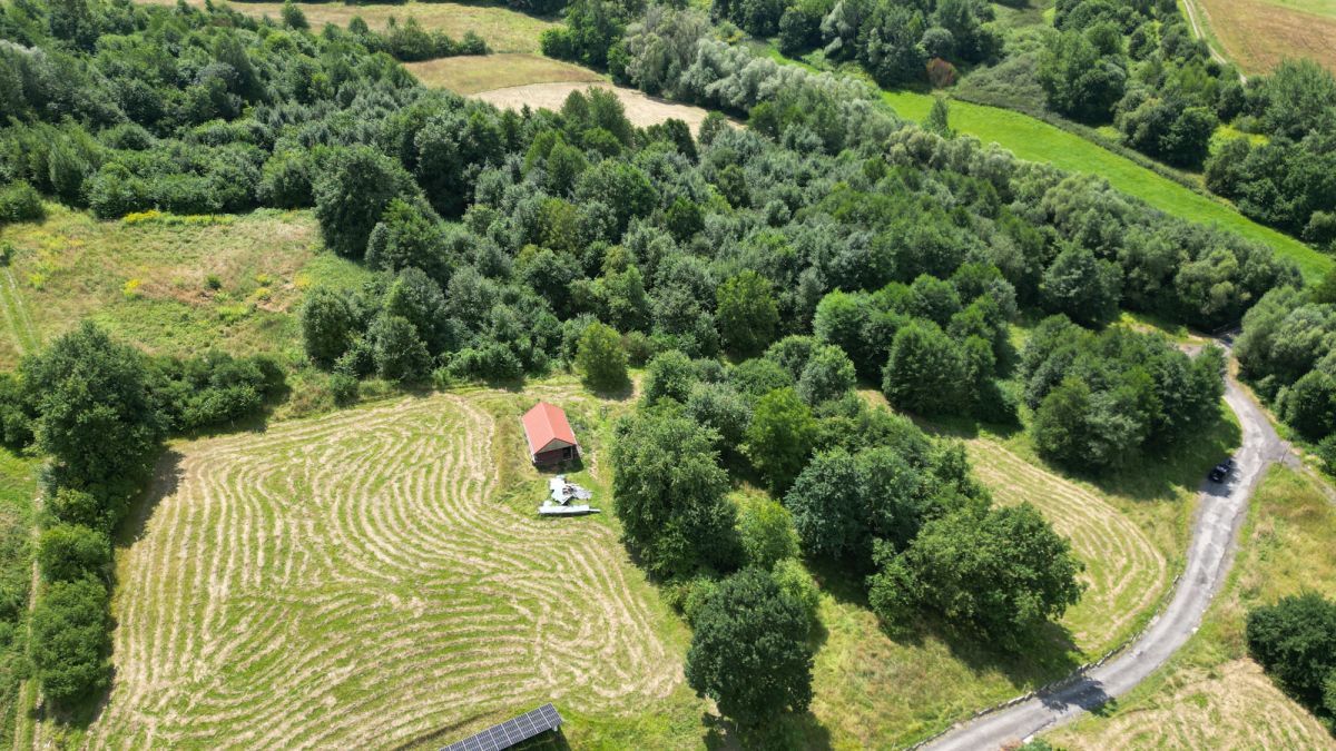 Lokal Gaj Brzyczyna, ul. Spadzista. Zdjęcie 7