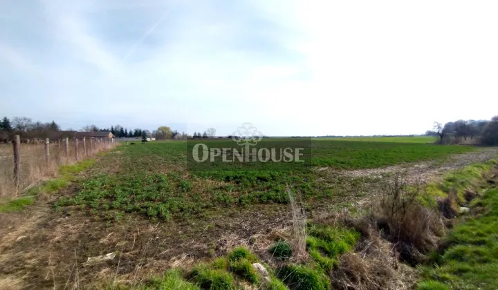 Działka budowlana Górczyna