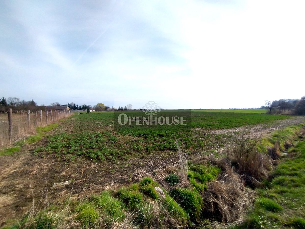 Działka budowlana Górczyna