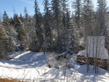 Działka rolno-budowlana Zakopane Zoniówka, ul. Zoniówka. Zdjęcie 3