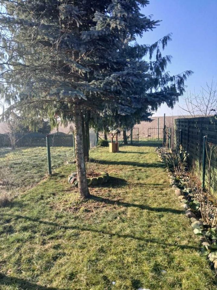 Mieszkanie 2-pokojowe Myszki. Zdjęcie 3