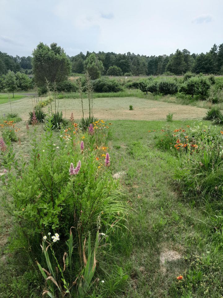 Działka budowlana Siennica Nadolna, os. Cukrowni. Zdjęcie 5