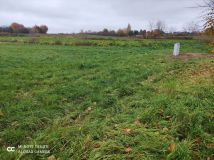 Działka rolno-budowlana Sadurki. Zdjęcie 3