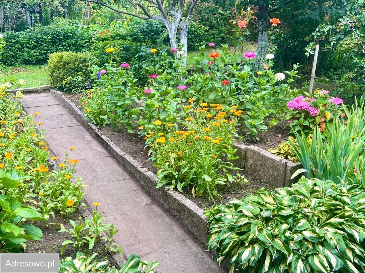 Działka rekreacyjna Ostróda, ul. 21 Stycznia. Zdjęcie 1