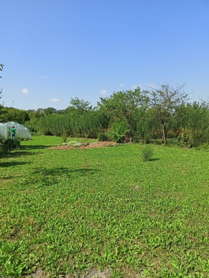 Działka rod Zamość, ul. Altanowa. Zdjęcie 7