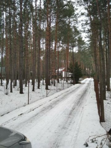 Działka leśna Tymoteuszew. Zdjęcie 1